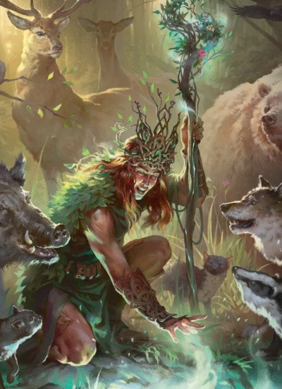 Druid DnD 2024