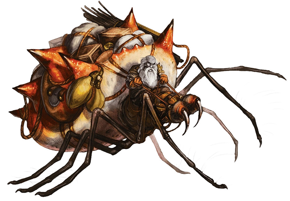 Female Steeder Female Steeder