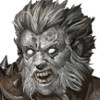 Avatar du membre