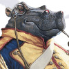 Avatar du membre