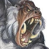 Avatar du membre