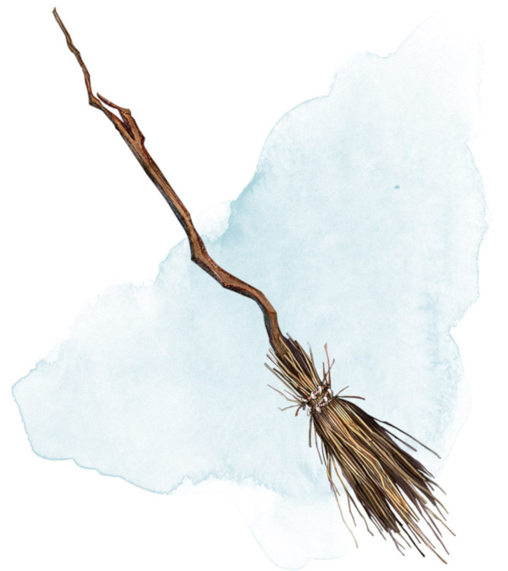 Broom of Flying