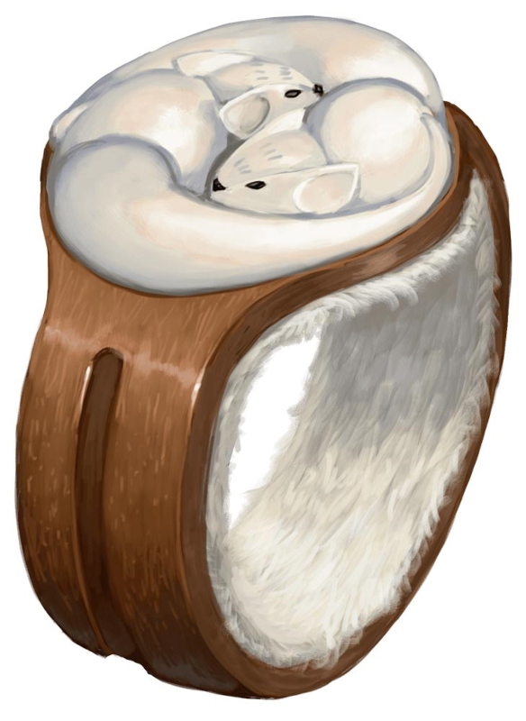 Anillo de calidez