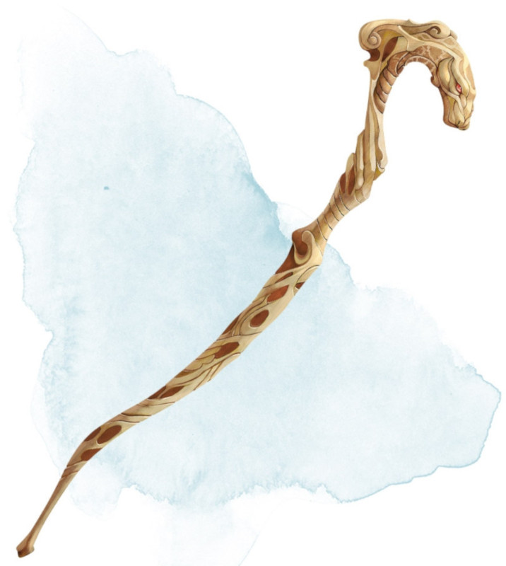 Bâton du python