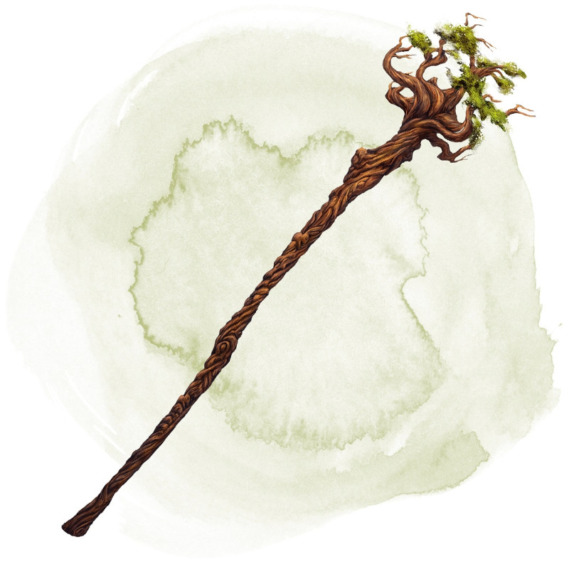 Bastón de los bosques