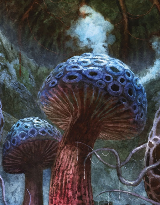 Thallophyte, criard